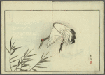 Keijô gaen