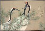 Momoyogusa