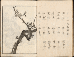 Yamato jinbutsu gafu