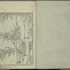 Ehon tokiwagusa = Eternal Flowers, A Picture Book.