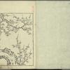 Ehon tokiwagusa = Eternal Flowers, A Picture Book.