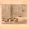 Rats, mice and cavies.