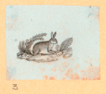 Rabbits and other rodents.