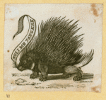 Armadillos, beavers, porcupines, and weasels.