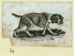 Dogs.