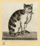 Cats.