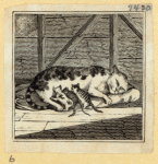 Cats.