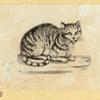 Cats.