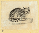Cats.
