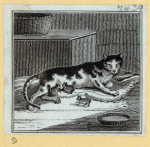 Cats.