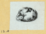 Cats.