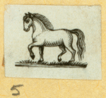 Donkeys, horses, and mules.