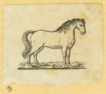 Donkeys, horses, and mules.