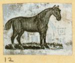 Donkeys, horses, and mules.