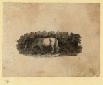 Horses.