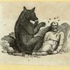 Bears.