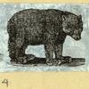 Bears.