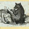 Bears.