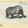Bears.