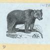 Bears.