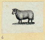 Rams.