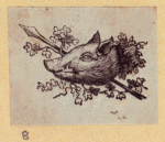 Boars, pigs, and sheep.