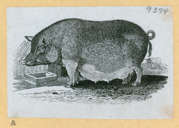 Index