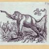 Elephants and a kangaroo.