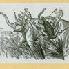 Elephants and rhinoceroses.