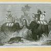 Elephants and rhinoceroses.