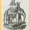 Elephants.
