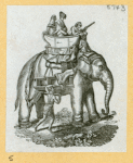 Elephants.