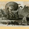 Elephants.