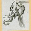 Elephants.
