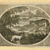 Hyenas, foxes, wolves, and lynxes.