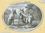 Hyenas, foxes, wolves, and lynxes.