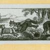 Wolves, weasels, foxes, raccoons, and badgers.
