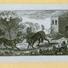 Wolves, weasels, foxes, raccoons, and badgers.