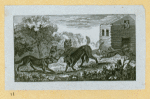 Wolves, weasels, foxes, raccoons, and badgers.