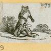Anteaters, badgers, hyenas, leopards, opossums, raccoons, tigers, and weasels.