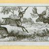 Deer and antelope.