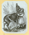 Deer and antelope.