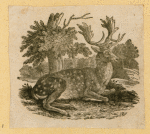 Antelope, deer, elk, and moose.