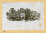 Antelope, deer, elk, and moose.