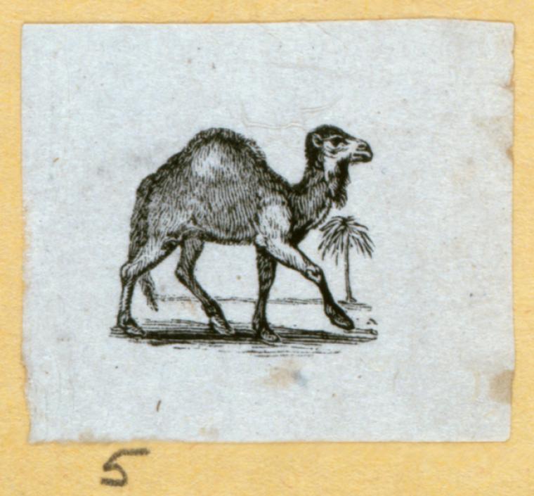 Index