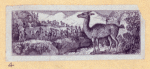 Goats and llamas.