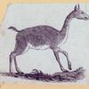 Goats and llamas.
