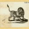Lions.