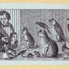Lions, dogs, bears, cats, birds, rabbits, and horses.
