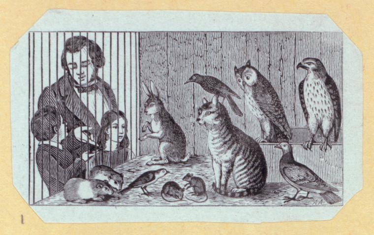 Index